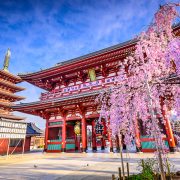 Things to Do in Tokyo on Your Japan Holiday