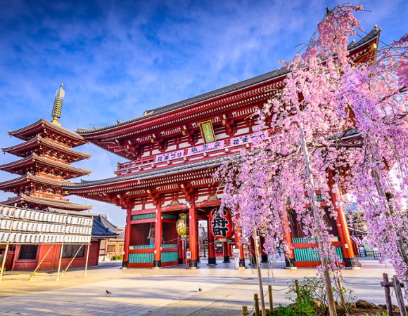 Top 7 Things to Do in Tokyo on Your Japan Holiday
