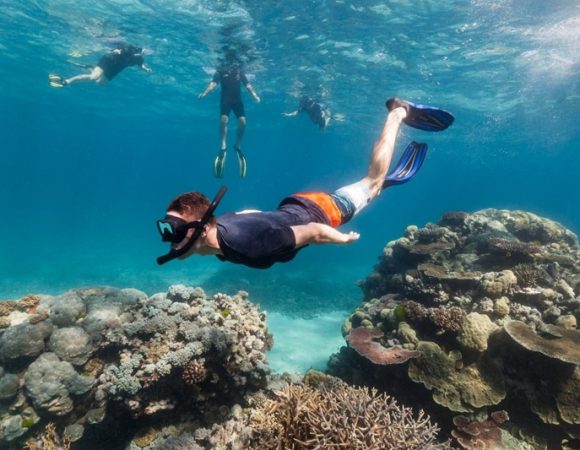 How to Experience the Great Barrier Reef in Australia Like a Pro