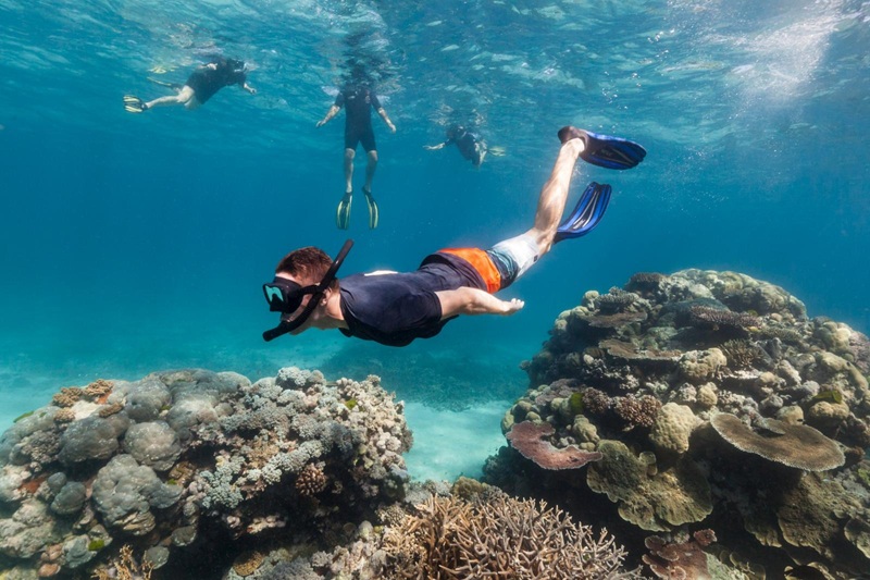 Experience the Great Barrier Reef in Australia