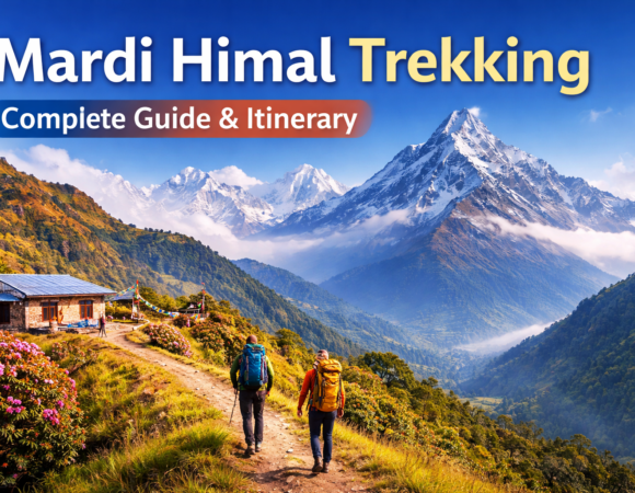 Mardi Himal Trekking Guide: Complete Itinerary, Cost & Travel Tips